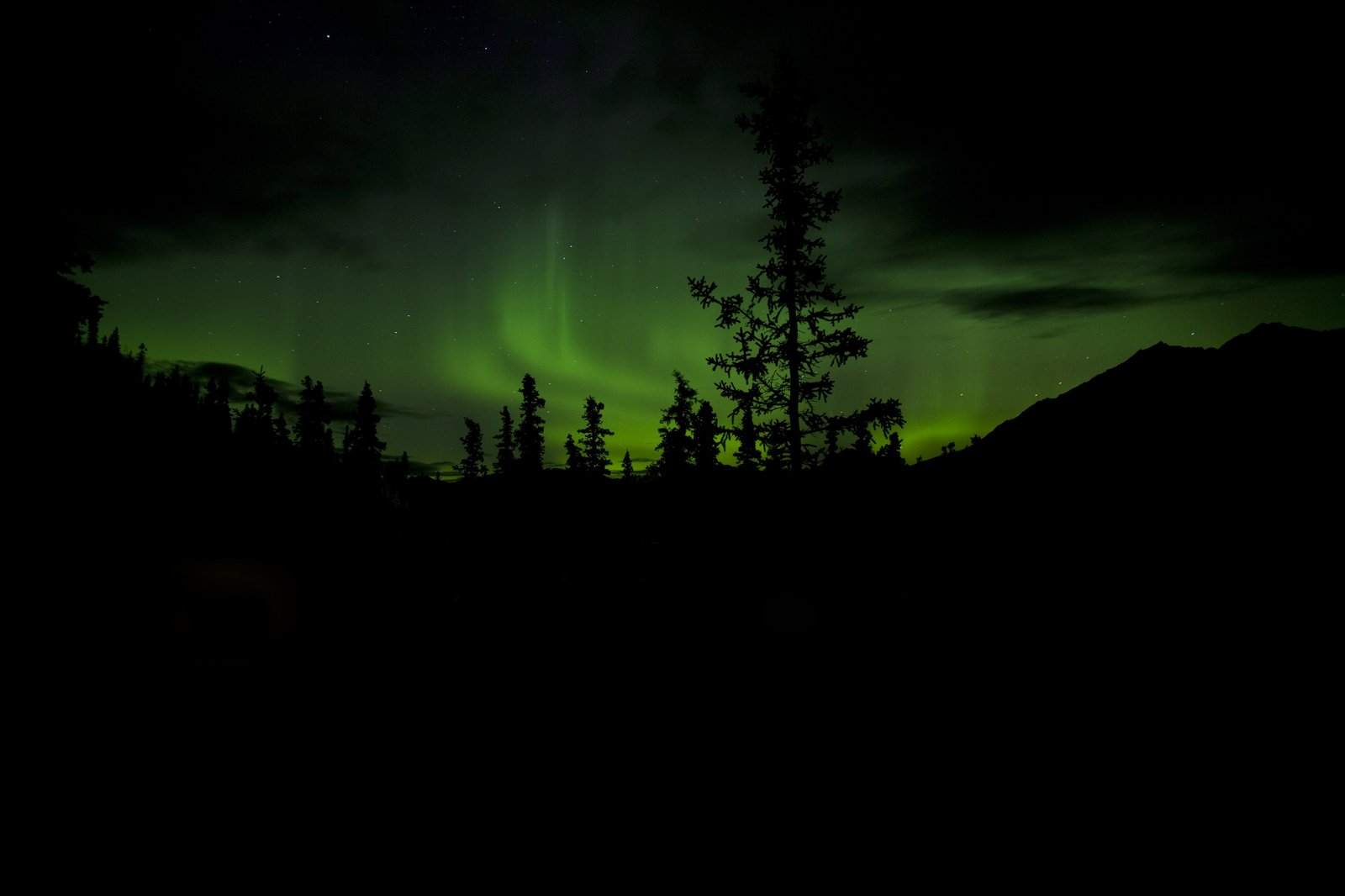 aurora borealis5 Aurora over Denali National Park and Preserve