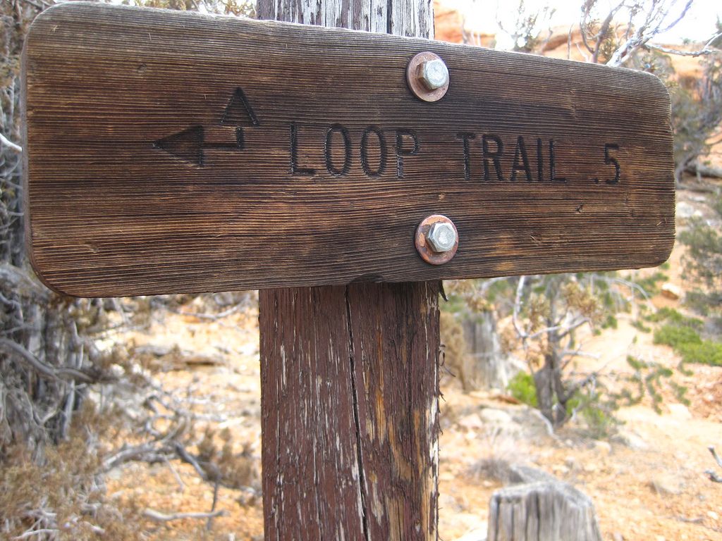 canyon trail11 Losee Canyon Trail