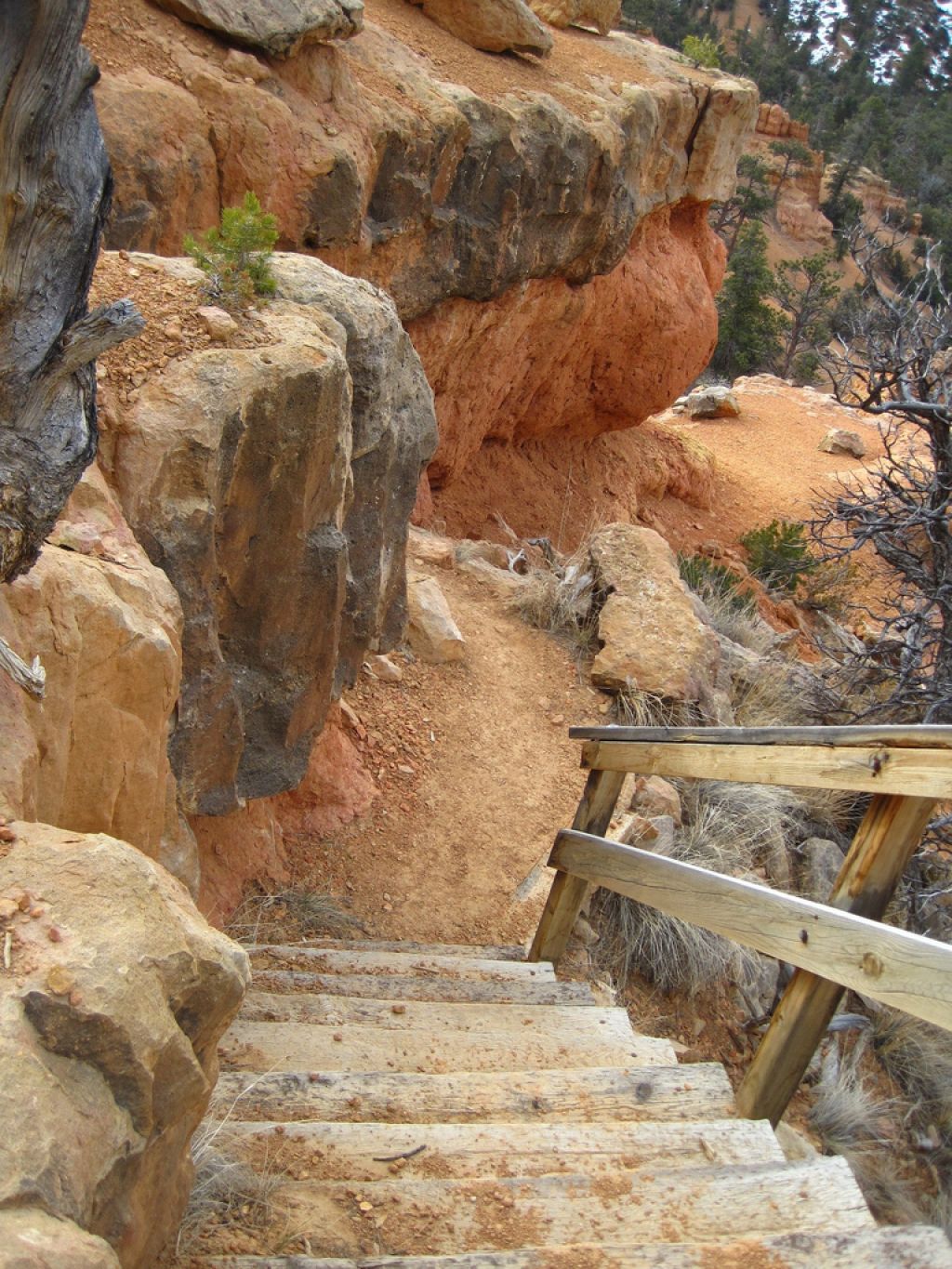 canyon trail3 Losee Canyon Trail