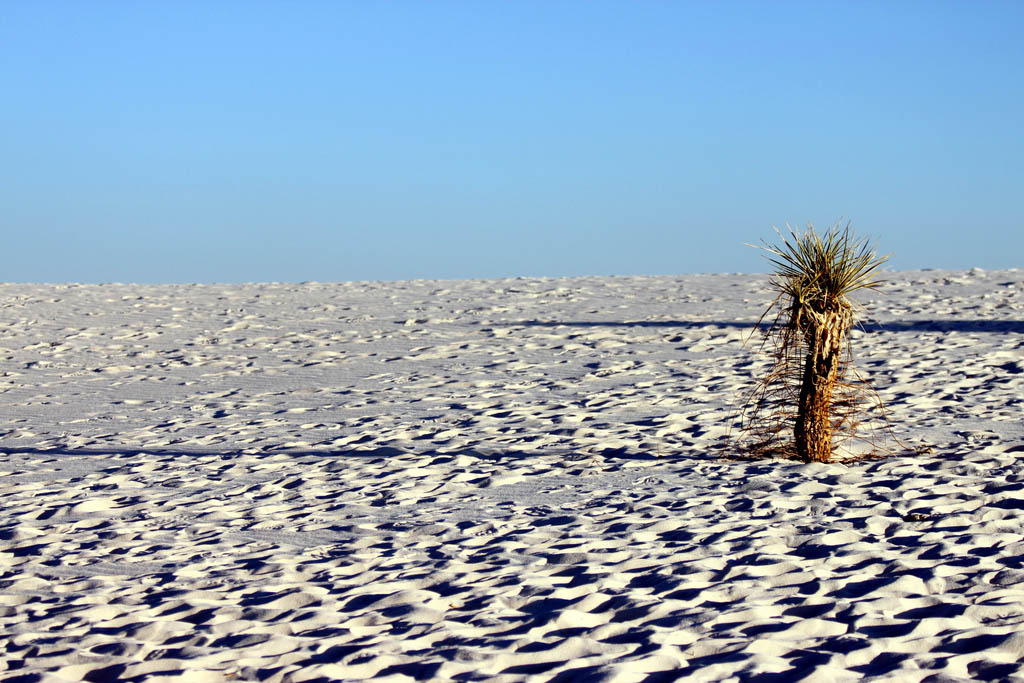 white sands4 The Scenic Beauty of the White Sands National Park, New Mexico