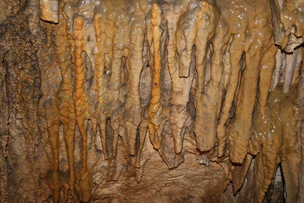 carlsbad caverns14 Visiting Carlsbad Caverns National Park, New Mexico