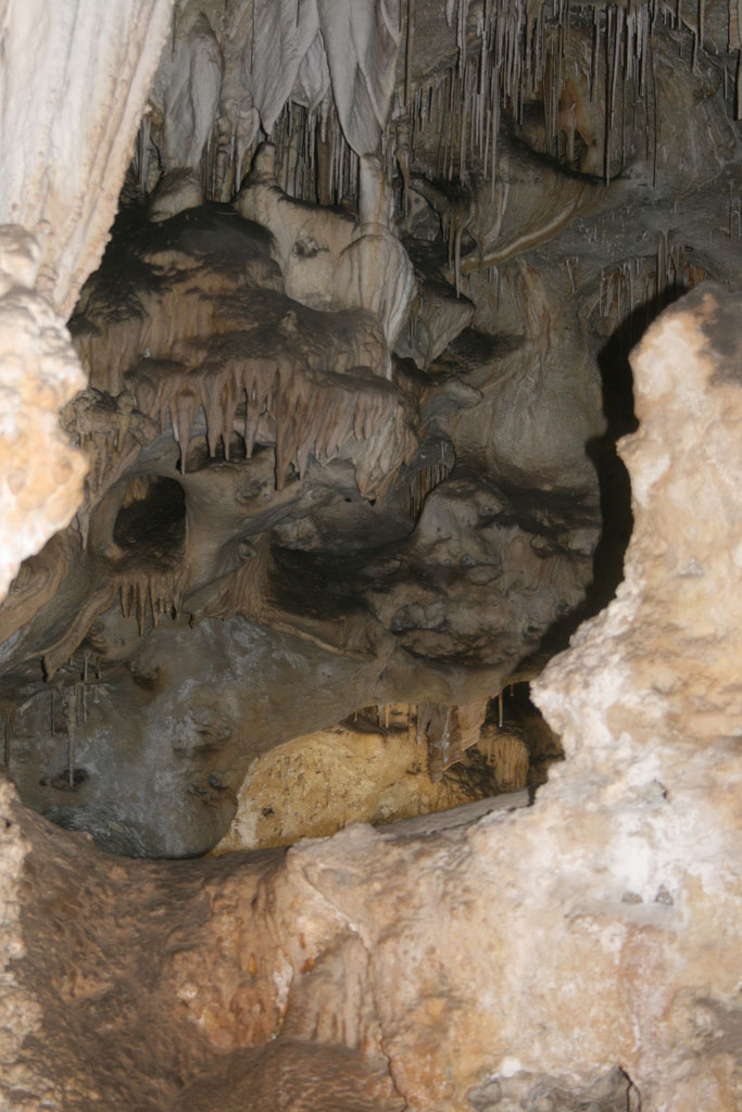 carlsbad caverns16 Visiting Carlsbad Caverns National Park, New Mexico