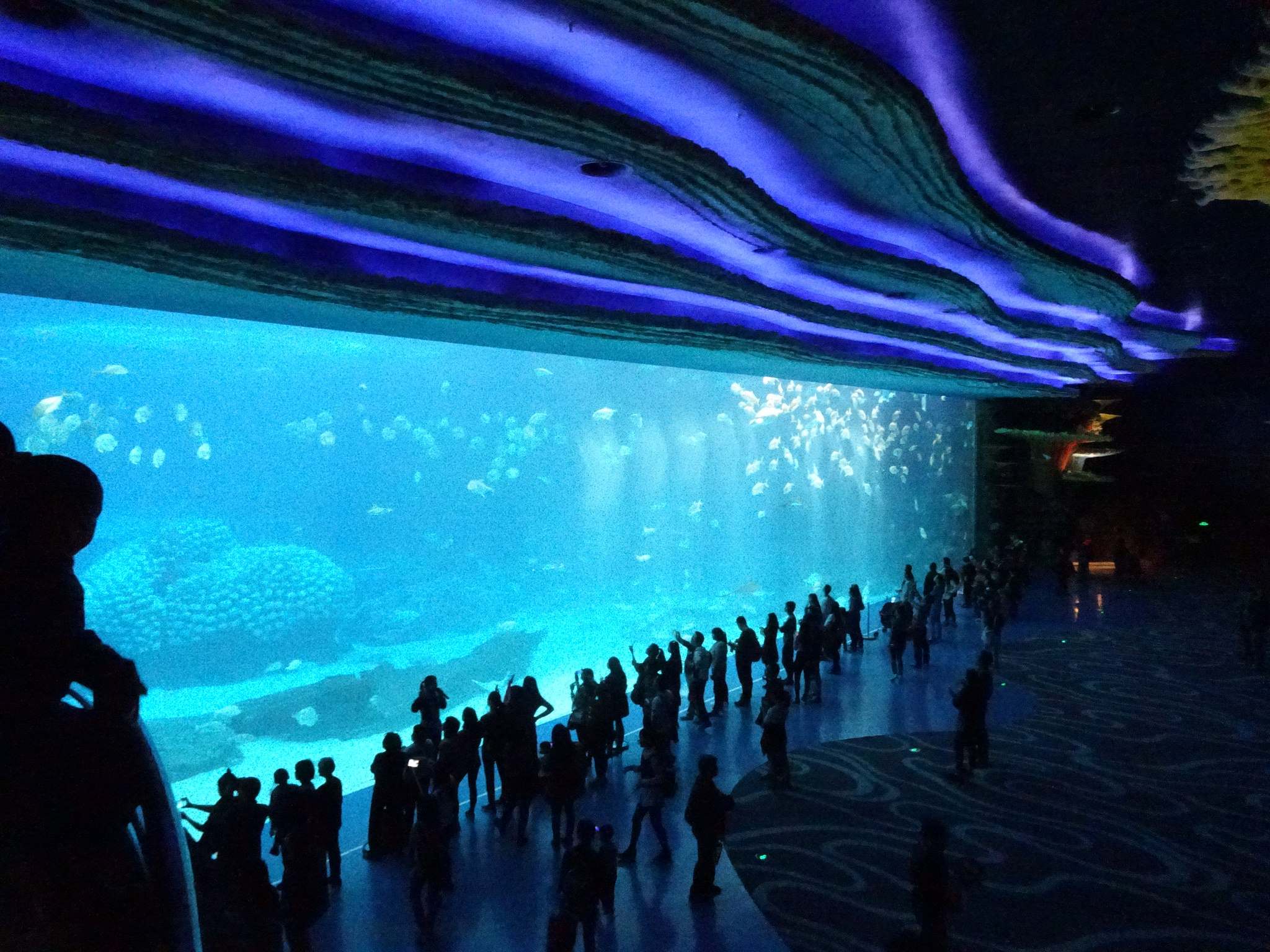 chimelong ocean kingdom13 Chimelong Ocean Kingdom   Worlds Largest Aquarium