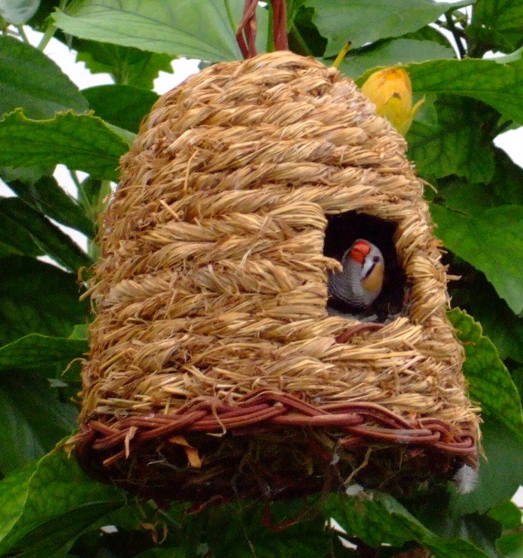 bird house18 Smarten Up Your Garden with Stylish Bird House