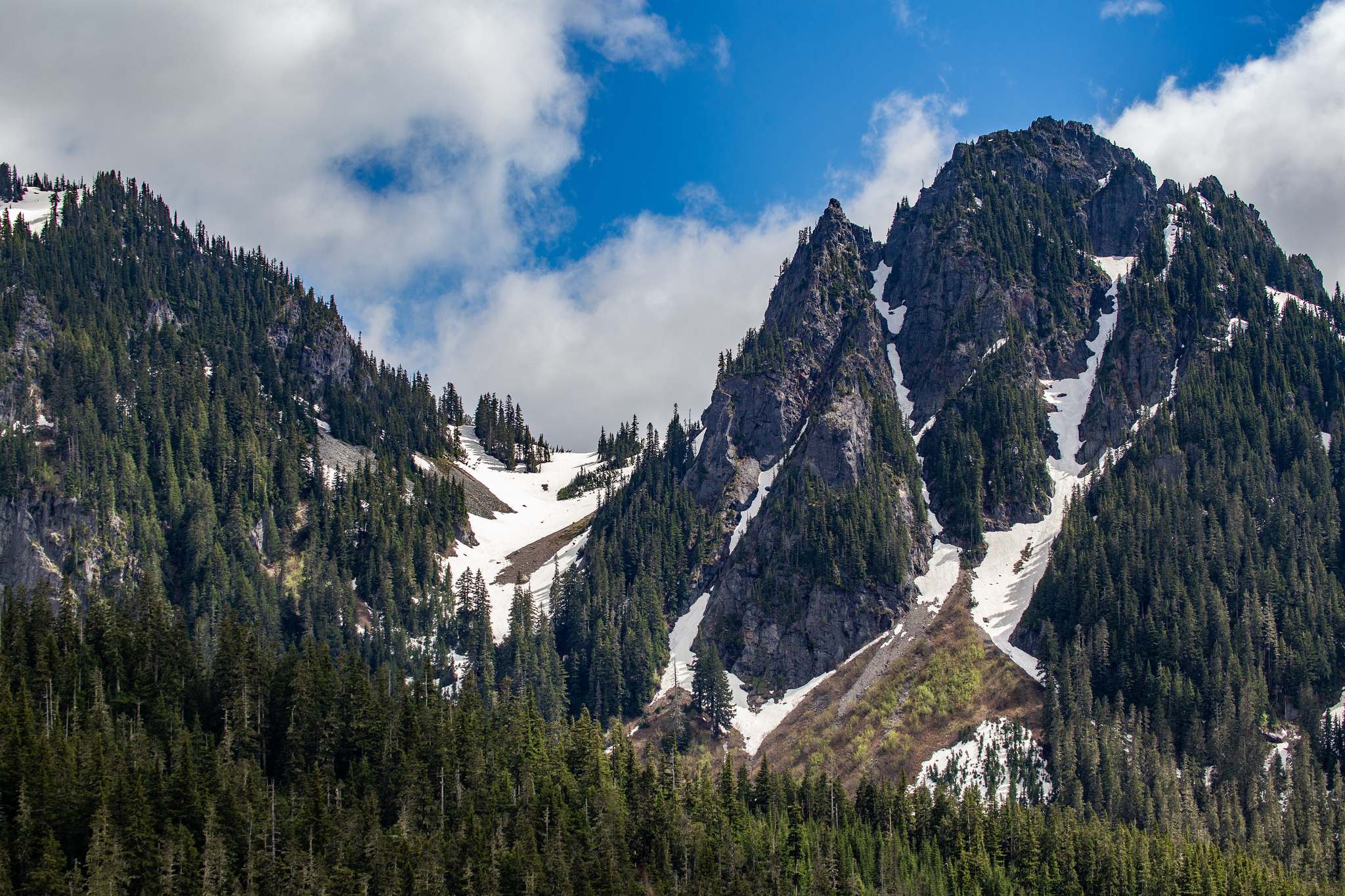 mount rainier national park10 Best Photos of Mount Rainier National Park