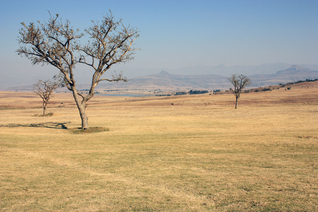 drakensberg9 Drakensberg Park   South African Outstanding Nature Reserve