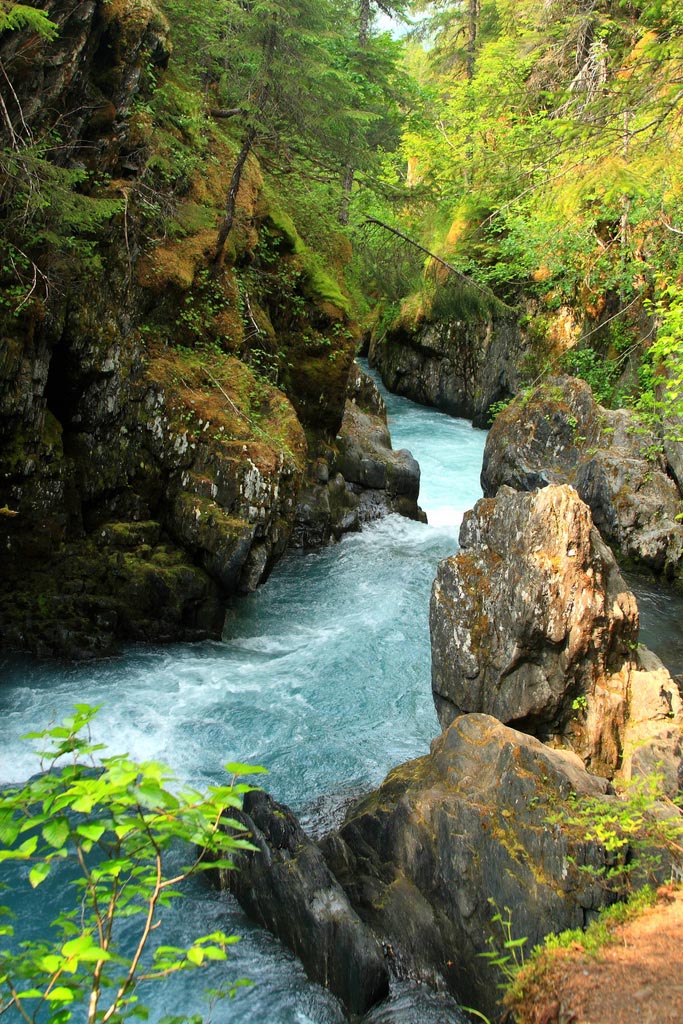 winner creek2 Explore the Alaska Winner Creek