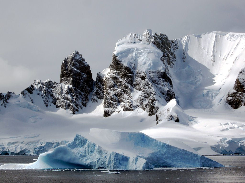 antarctica4 A Land of White   Cuverville Island, Antarctica by David Stanley