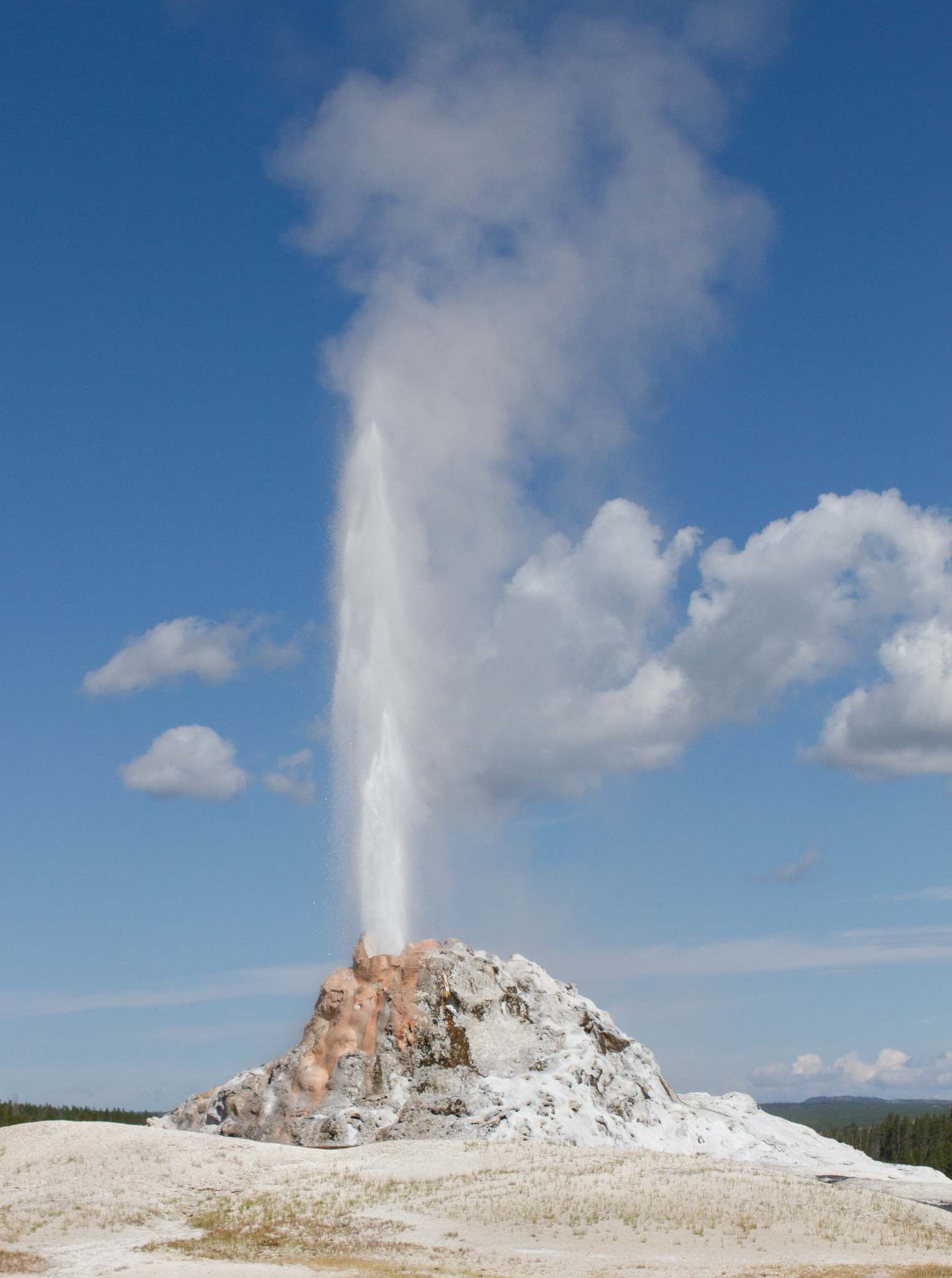 lower geyser basin Lower Geyser Basin Yellowstone National Park