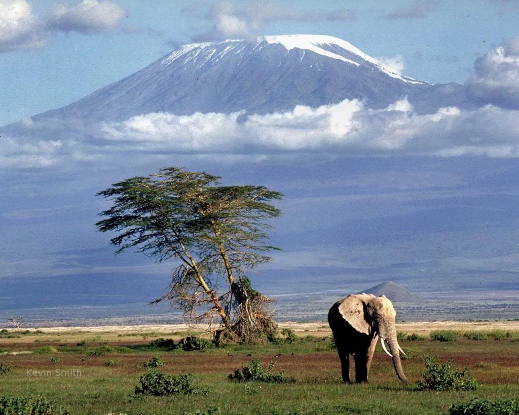 kilimanjaro2 Mount Kilimanjaro   The Roof of Africa