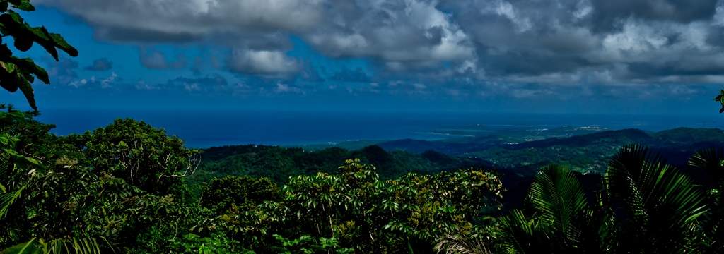 puerto rico el yunque5 El Yunque Rain Forest in Puerto Rico