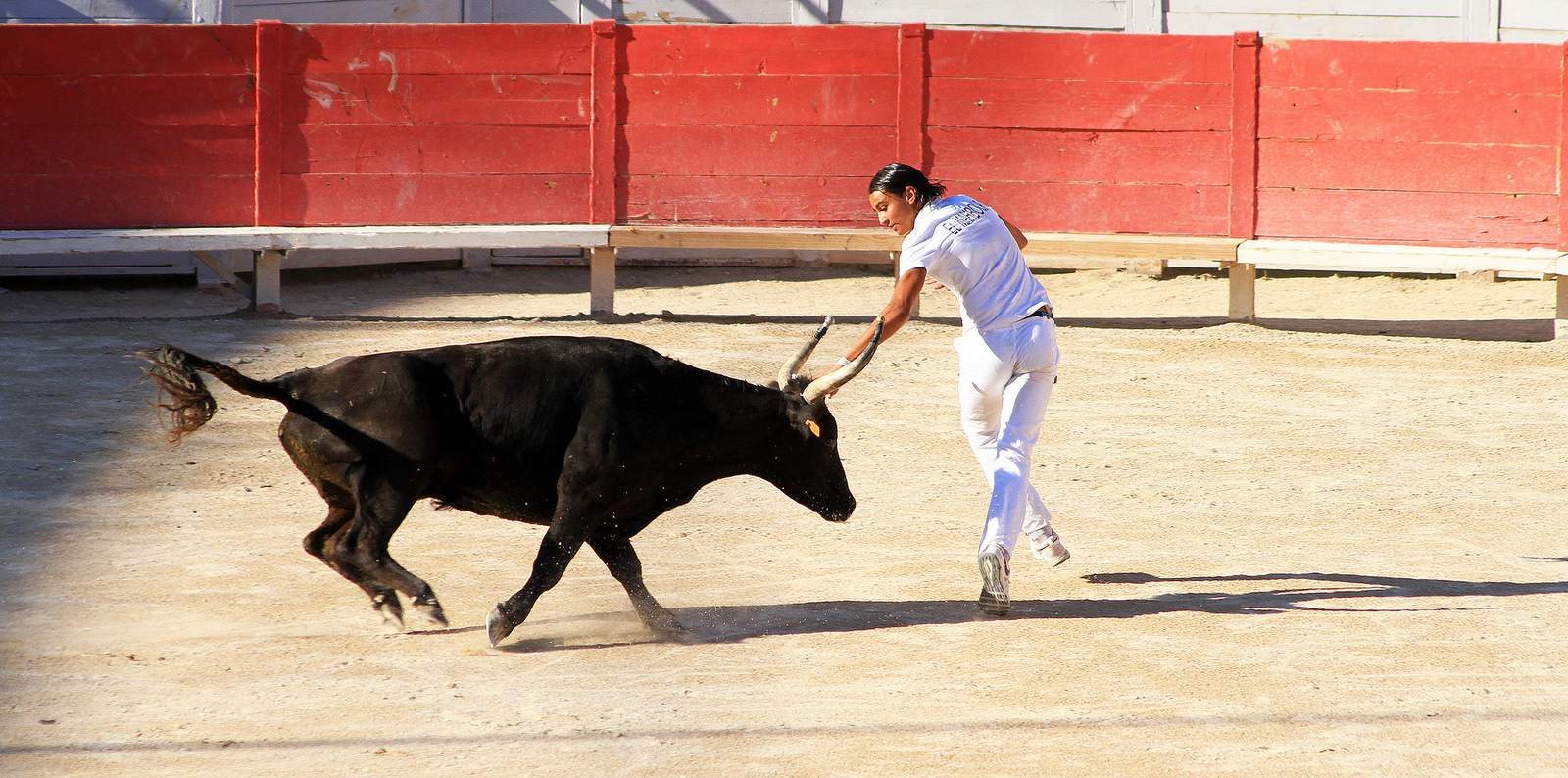 arles Bull Fighting in Arles Arena