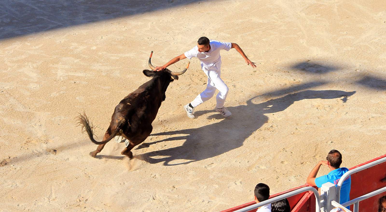 arles2 Bull Fighting in Arles Arena