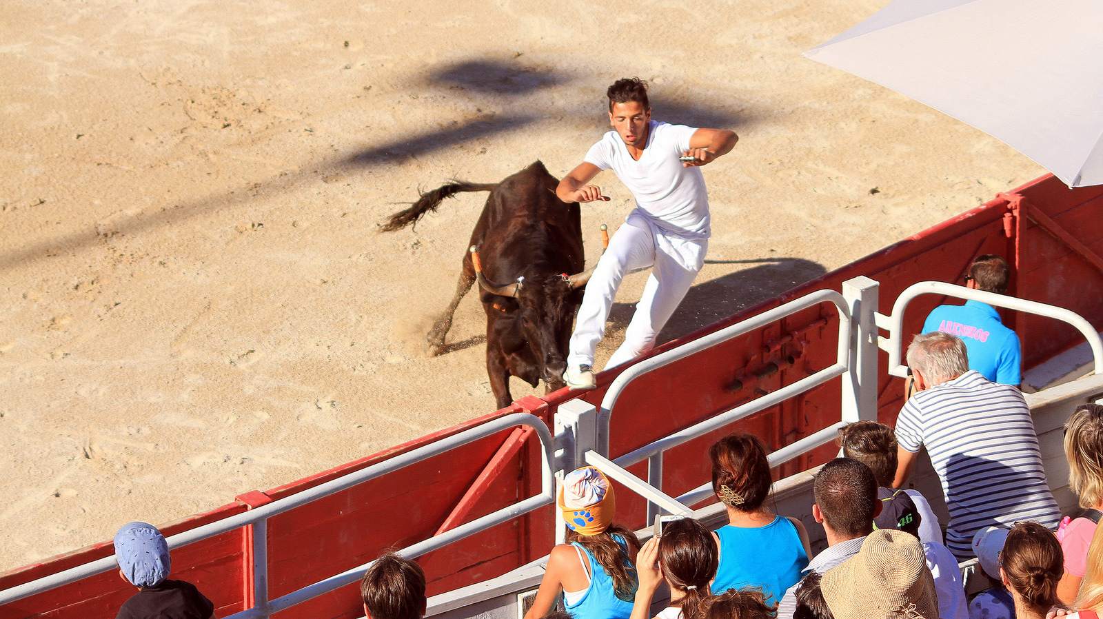 arles3 Bull Fighting in Arles Arena