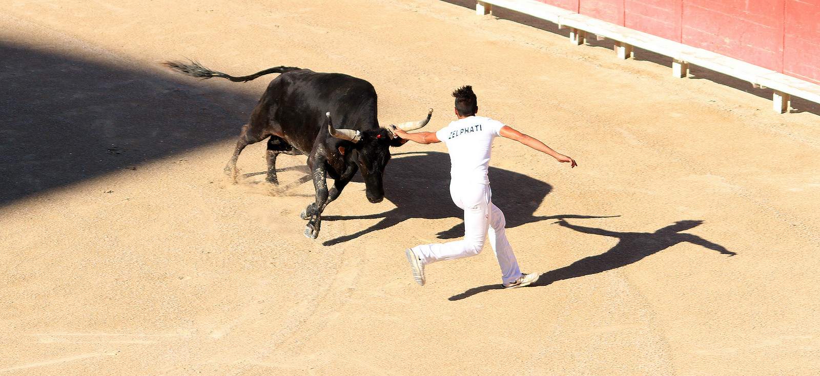 arles6 Bull Fighting in Arles Arena