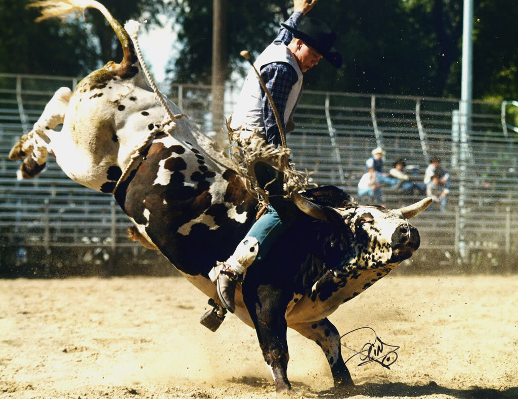bull riding13 Little Boy Dreams About Pro Bull Rider