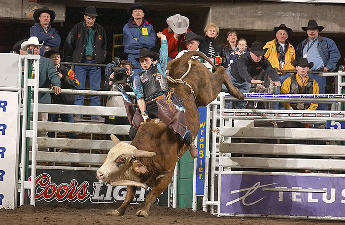 bull riding9 Little Boy Dreams About Pro Bull Rider