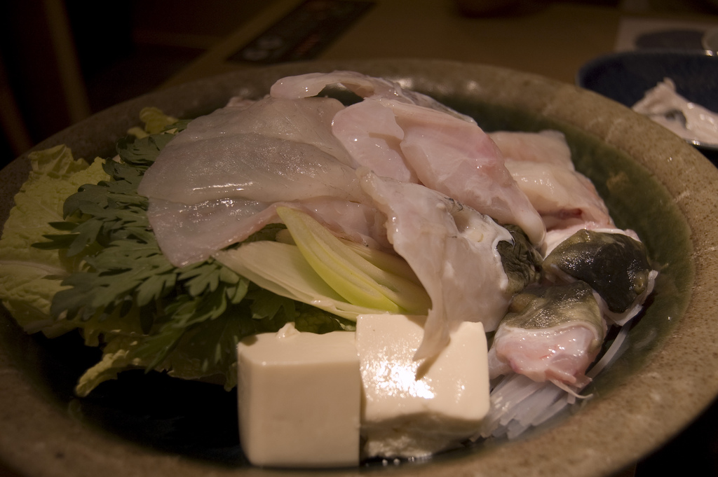 puffer fish6 Pufferfish Aka Fugu   Fish That Can Kill You