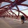 Peace Bridge by Santiago Calatrava, Calgary
