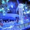 Christmas window displays in Paris