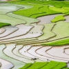 Amazing Place – Rice Terrace Fields in Mu Cang Chai, Vietnam