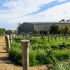 Wine Path at Barossa Valley, Australia