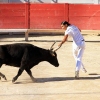 Bull Fighting in Arles Arena