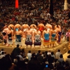 Tokyo Sumo Tournament 2015