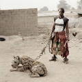The Nigerian Hyena Men – D...