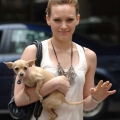 Female Celebrities and Their Dog...