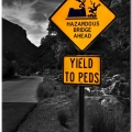 Funny Road Signs