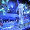 Christmas window displays in Par...