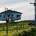 How to Move House in New Zealand