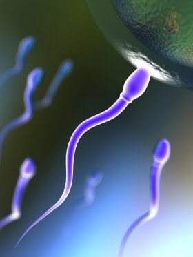 sperm motility6 Get Pregnant of Partners Lazy Sperm
