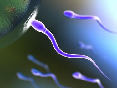 sperm motility7 Get Pregnant of Partners Lazy Sperm
